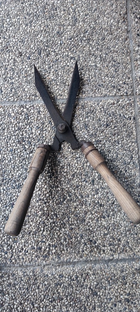 Tijeras para setos